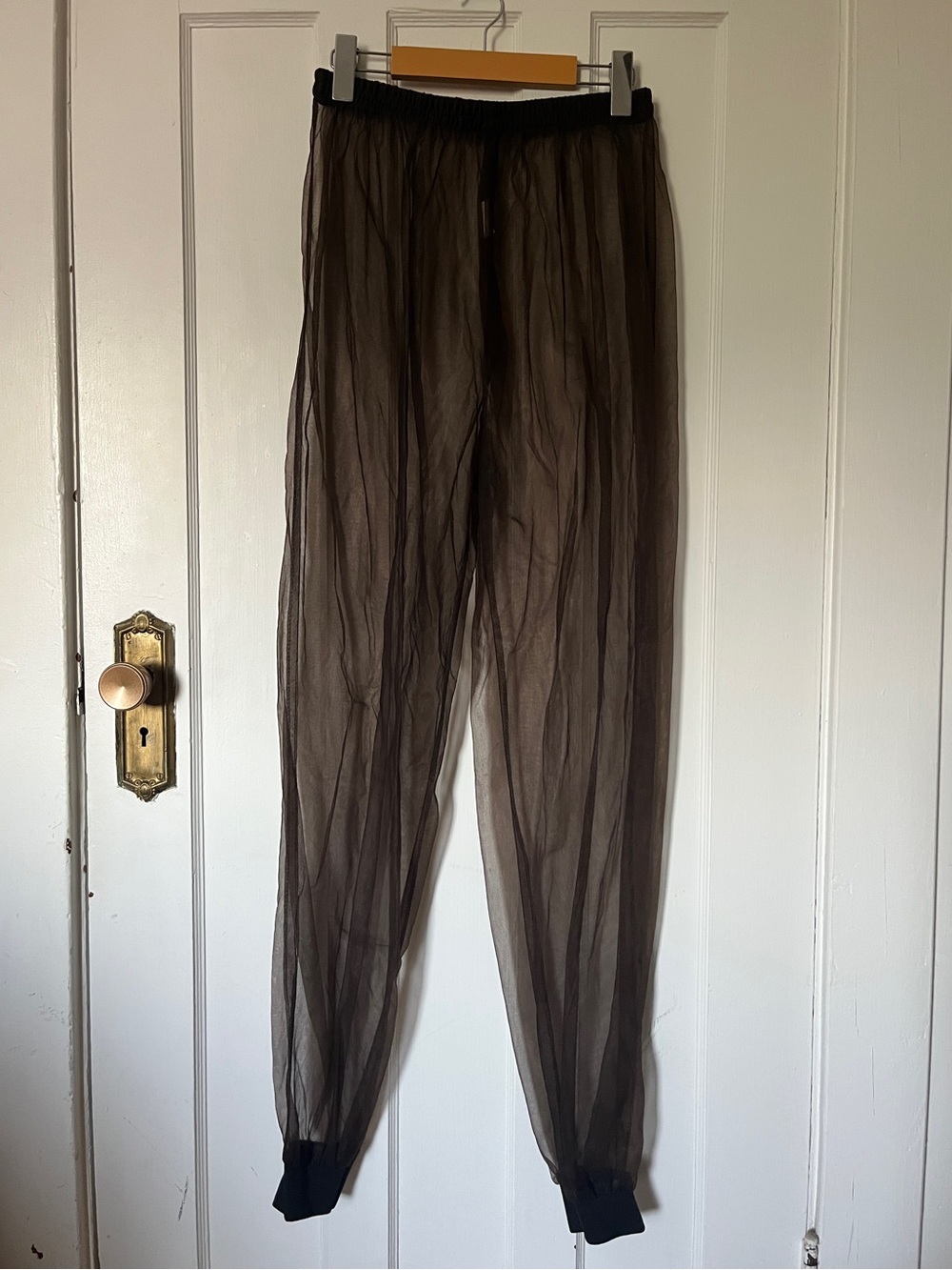 Sheer brown pants naked dressing elevated fashion
